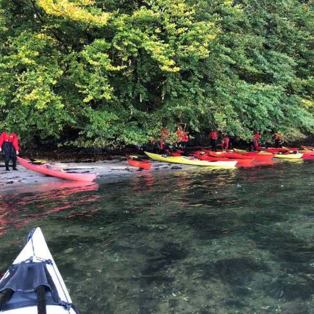 Naturpark Lillebælt – skov og vand
