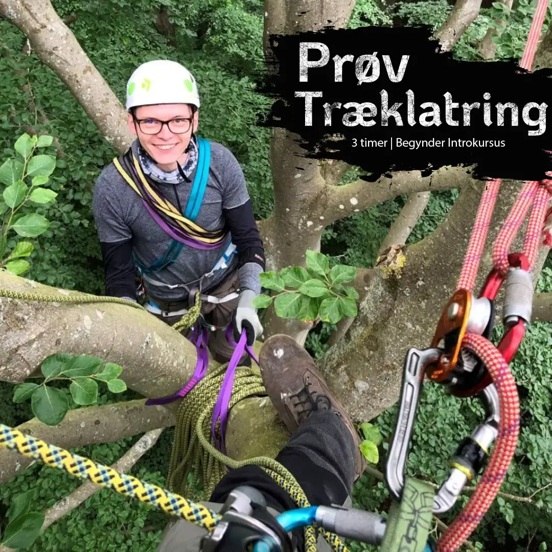 Prøv Træklatring – Begynder